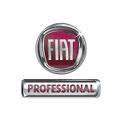 FIAT PROFESSIONAL